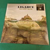 vinile Ligabue 