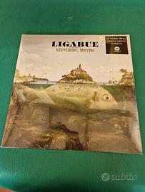 vinile Ligabue 