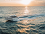 Immagine 10