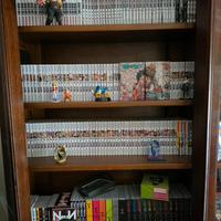 Collezione manga in blocco