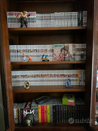 Collezione manga in blocco
