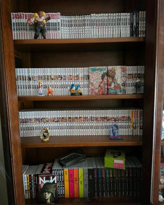 Collezione manga in blocco
