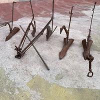 Giardinaggio fai da te