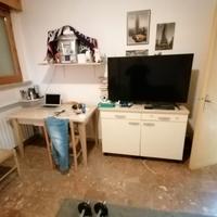 madia robusta tinta crema