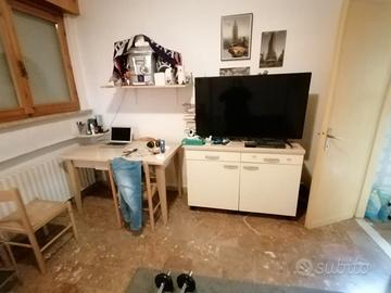 madia robusta tinta crema