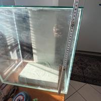 Aquario