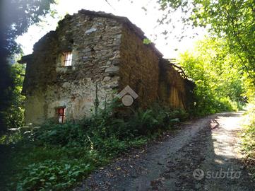 RUSTICO A MARTINIANA PO