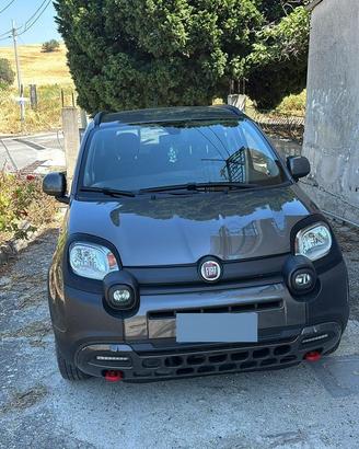 Fiat panda citycross