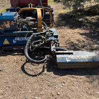 Trincia Falconero tigre