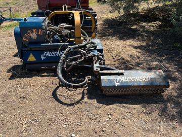 Trincia Falconero tigre