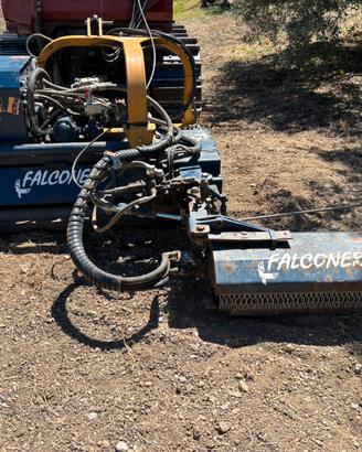 Trincia Falconero tigre