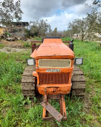 TRATTORE cingolato fiat