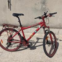 Bici da montagna