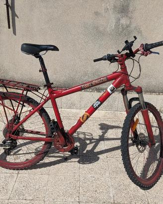 Bici da montagna