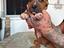 Immagine 2
