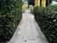 Immagine 10