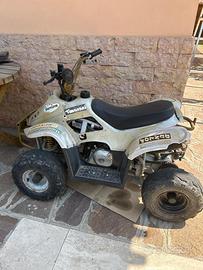 Quad 110cc