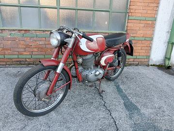 Morini Tresette Sprint 