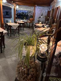 Storica osteria bar - legnago