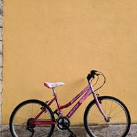 Mountain bike Vicini