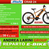 Atala crab 24 pronta consegna