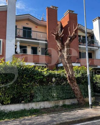 Attico/Mansarda San Gemini [Cod. rif 3336447VRG]