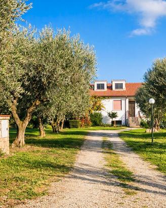 Porzione di villa bifamigliare