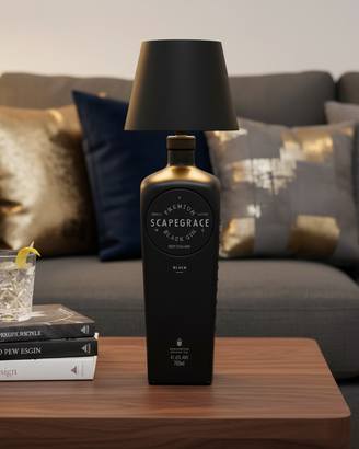 Lampade e dispencer con bottiglie di Gin