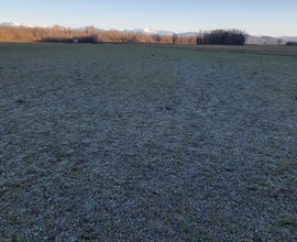 Terreno agricolo