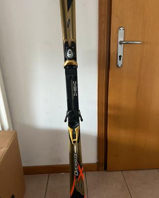 Sci  Rossignol adulto