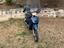 Immagine 2