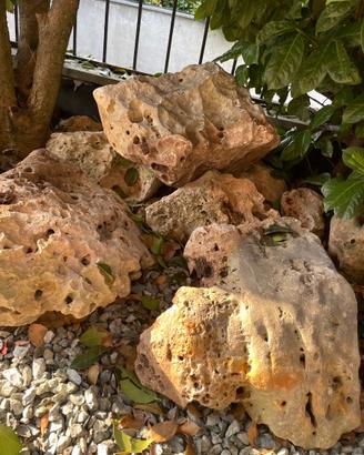 Rocce ornamentali da giardino
