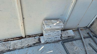 Piastrelle Marmo Calacatta 40x20