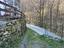 Immagine 19