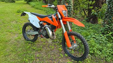 ktm sx 125 targato