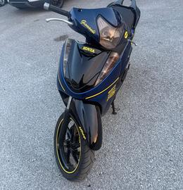 sh 300 2009