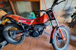 Trial Beta tr 33