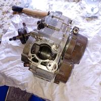 Rotax 123