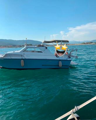 Coronet 24 Family