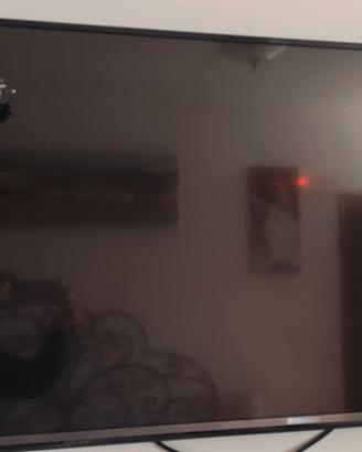 TV Lg schermo 49 pollici 4k scheda madre rotta