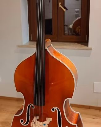 contrabbasso rockabilly Reghin Hora