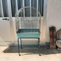 Gabbia pappagallo e cocorite