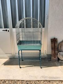 Gabbia pappagallo e cocorite