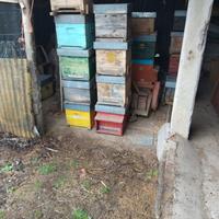 Arnie per apicoltura