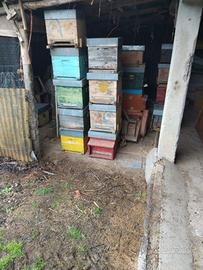 Arnie per apicoltura