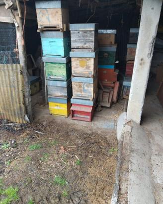 Arnie per apicoltura