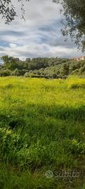 Terreno pianeggiante