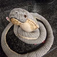  Cobra di pelouche cm 177