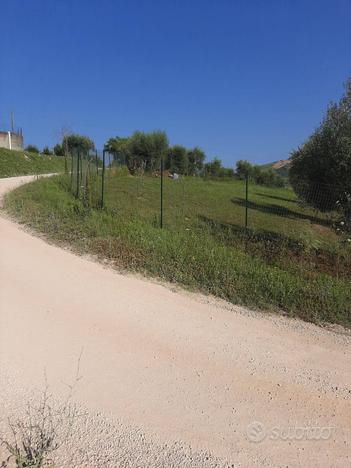 Terreno Agricolo - Ripatransone