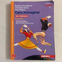 Caro immaginar - Libro di italiano